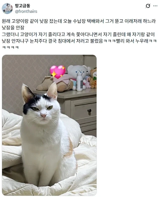 백인한테 부러운 유일한 한가지.jpg 대표 이미지