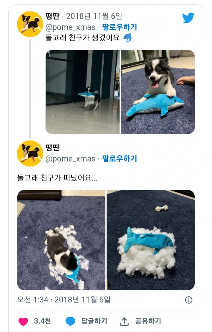 한국인 필터 없이 까매 보여서 더 좋아보인다는 트윗에 달린 글.jpg 이미지 2