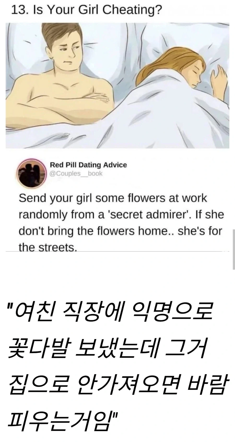 돌고래 친구가 생겼어요 대표 이미지