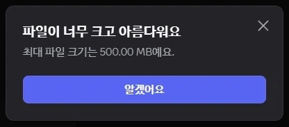 디코에 너무 큰걸 집어넣으면 이런것도 나오는구나_2.webp