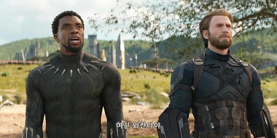 현실고증 볼링고양이 이미지 4