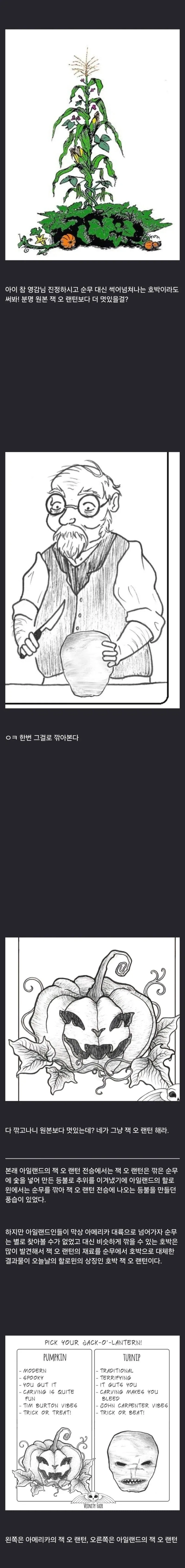 미국이 할로윈때 호박을 쓰는 이유.jpg_2.webp