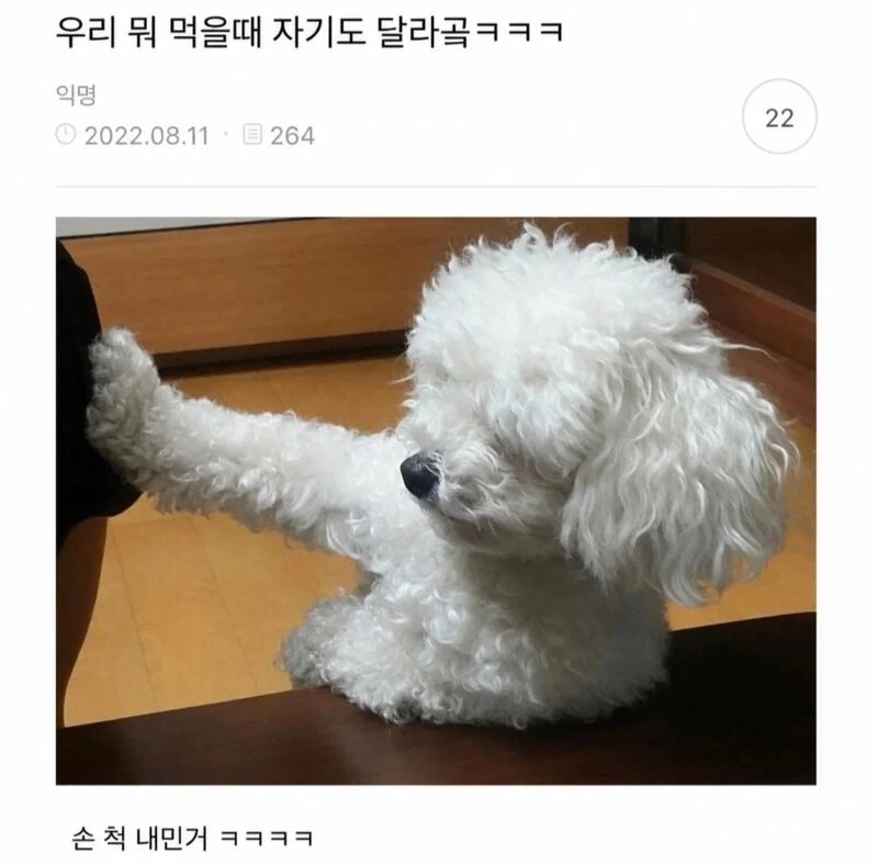한국은 차원이 다르다는 일본 여성들.jpg 이미지 4