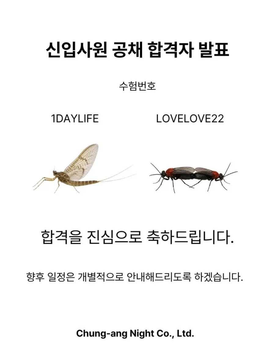 여름 인사발령_3.webp