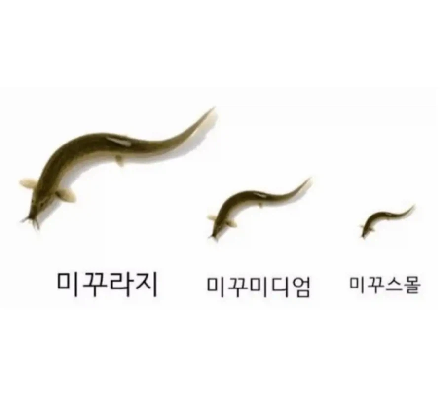 귀화 러시아인이 말하는 한국 장단점.jpg 이미지 2