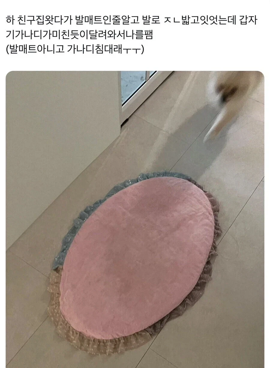 출장 갈 때 지각하는 신입 누구잘못? 대표 이미지