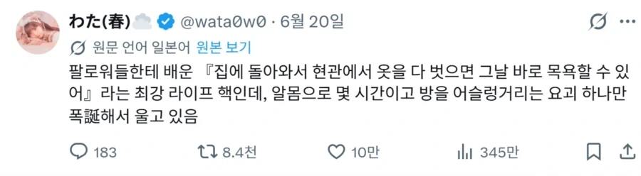 앵무새 지능 수준.jpg 이미지 2