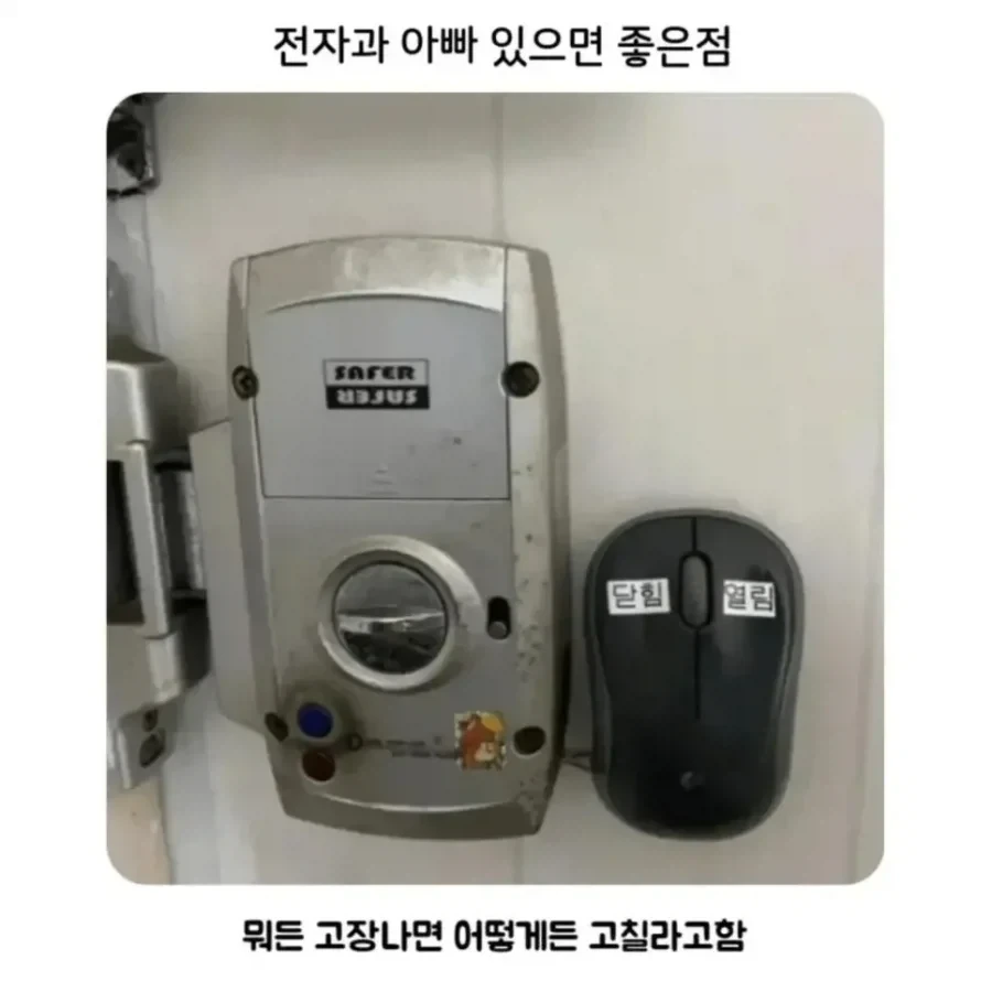 각인된 교육의 성과 이미지 8