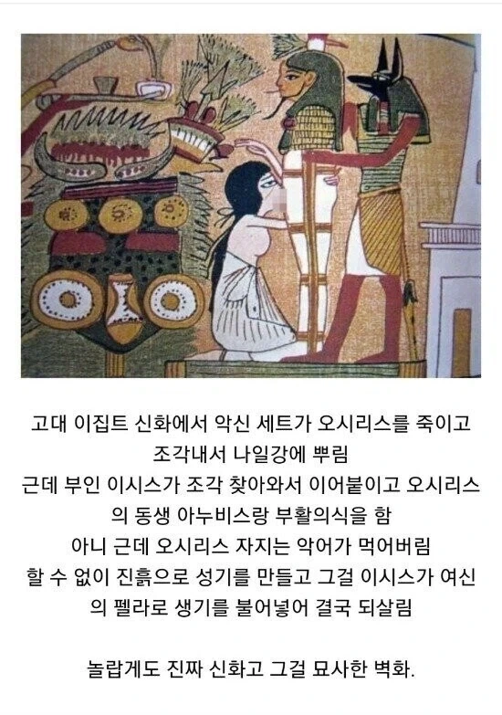 20대 남녀 모솔 비율 대표 이미지