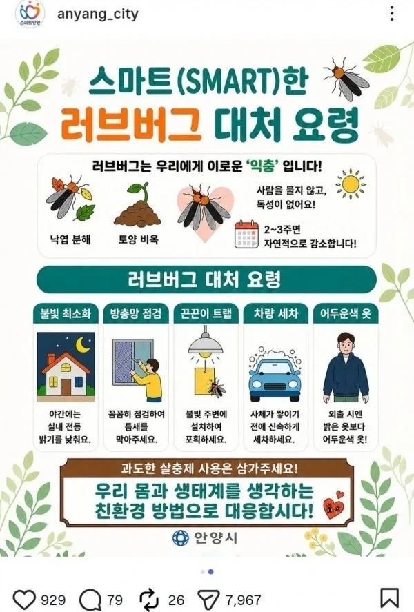누가봐도 침수차 이미지 2