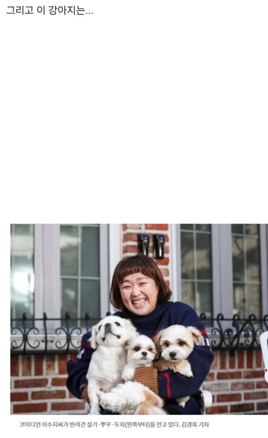 산책로 화장실에서 발견된 강아지_2.webp