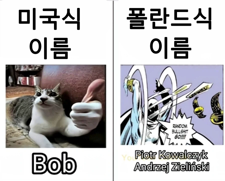 의외로 버스에 있다는 것.jpg 이미지 3