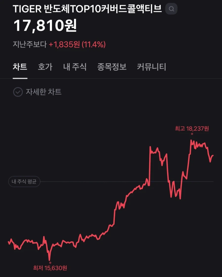 여름 티셔츠 29,000원 이미지 3
