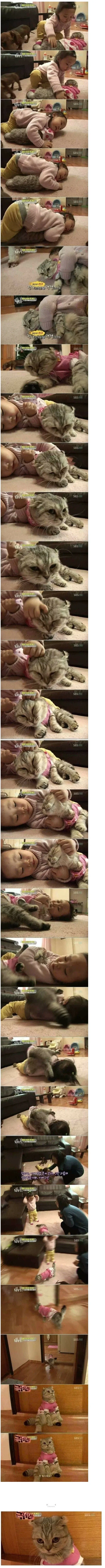 여름 티셔츠 29,000원 대표 이미지