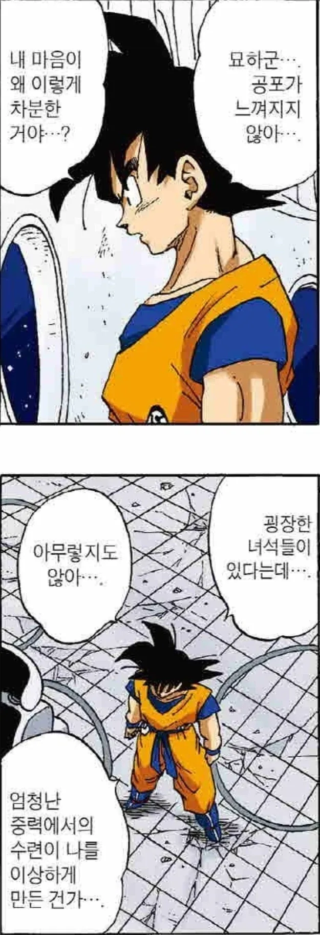 상한 음식과 삭힌 음식의 차이 이미지 5