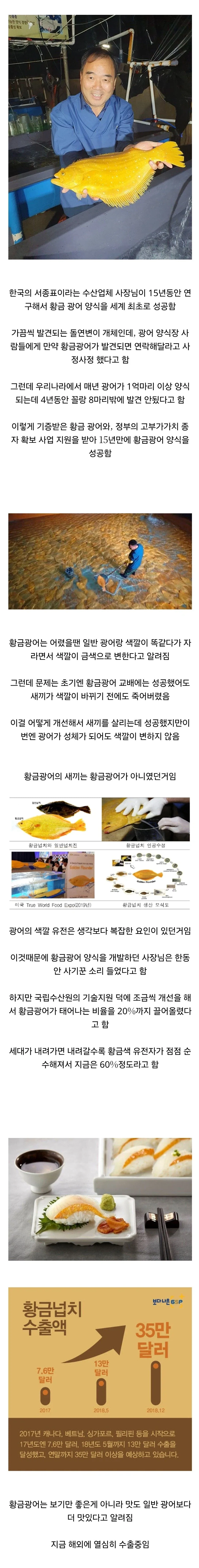 카드챕터 사쿠라 오프닝의 비밀 이미지 7