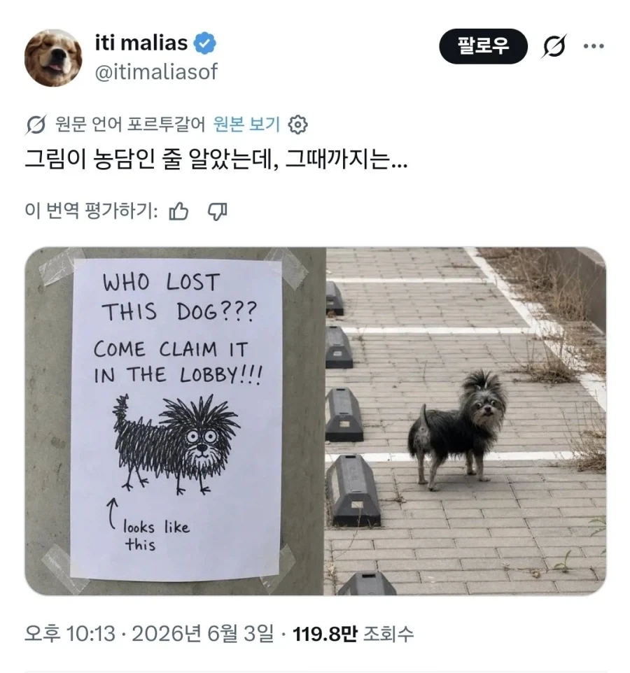 팬들 덕분에 환경이 바뀐 뮤지션 이미지 2