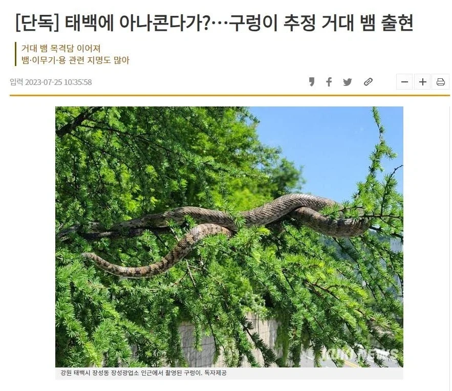 이따구로 할거면 나라 리세마라 하고 다시 세우는게 낫다 이미지 5