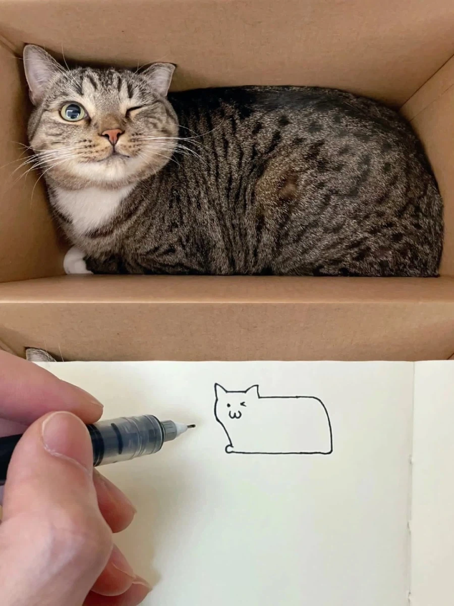 자기 고양이 그리는 집사..._3.webp