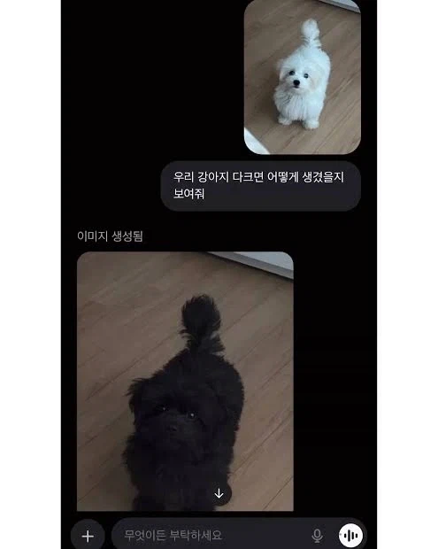 김이 좋은 고양이 대표 이미지