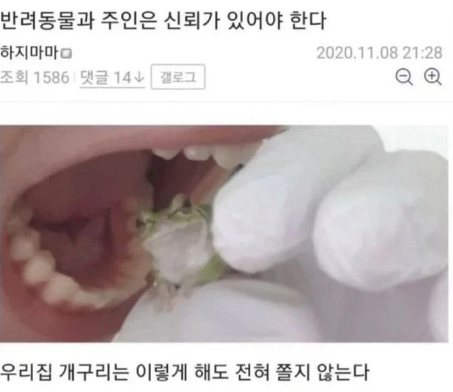 트릭컬) 만찬장+애정도 확장 이후 교주들 예상 모습 이미지 3