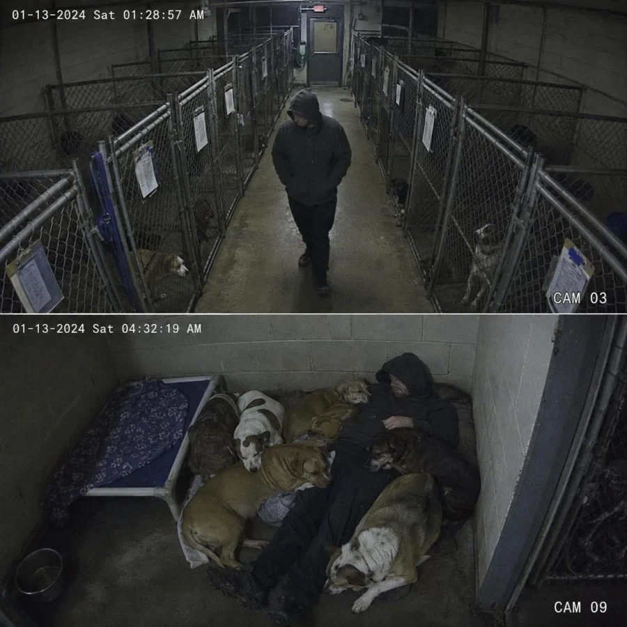 이상하게 주인공 학대한다는 이미지가 있는 작가들 이미지 3