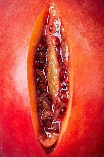 젖보똥으로 손쉽게 흥할것 같으면 뭐 세상 쉬운줄 아냐?_2.webp