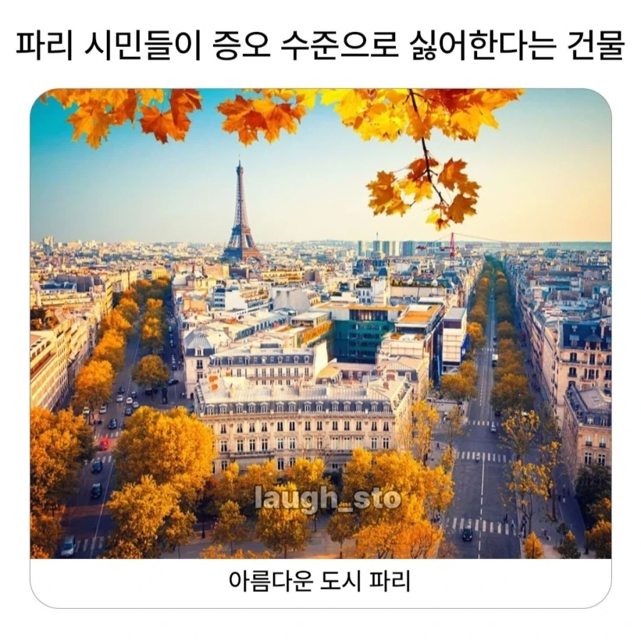 역사) 한국 천주교의 특이한 시스템 이미지 3