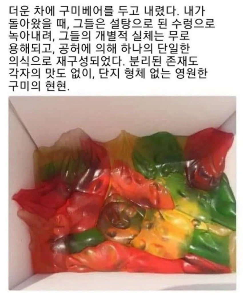 딸은 20살에 돌아오지만 아들은 22살에 돌아온다 이미지 4