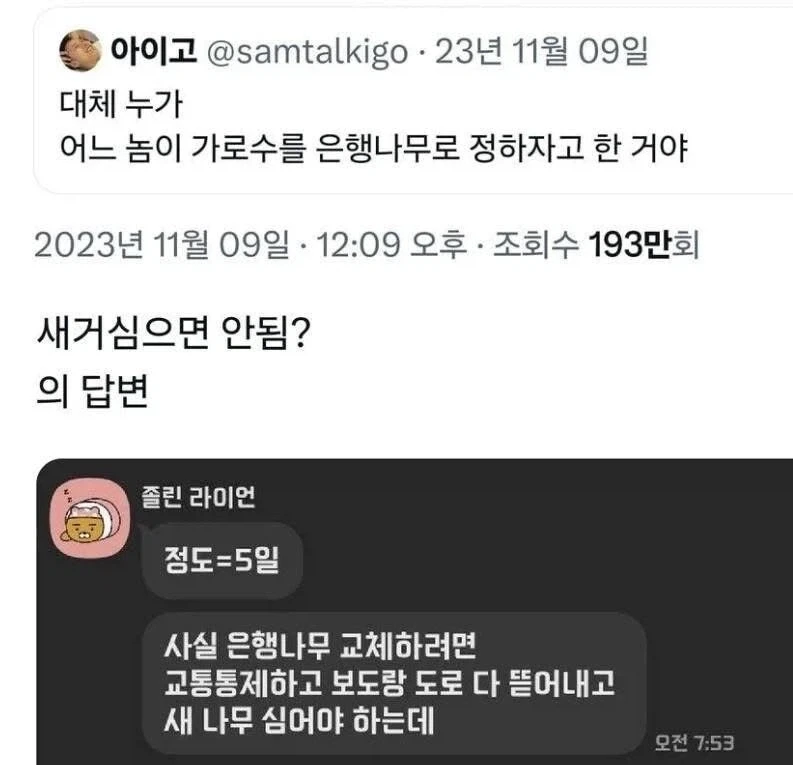 은행나무가 가로수로 가장 좋은 이유_2.webp