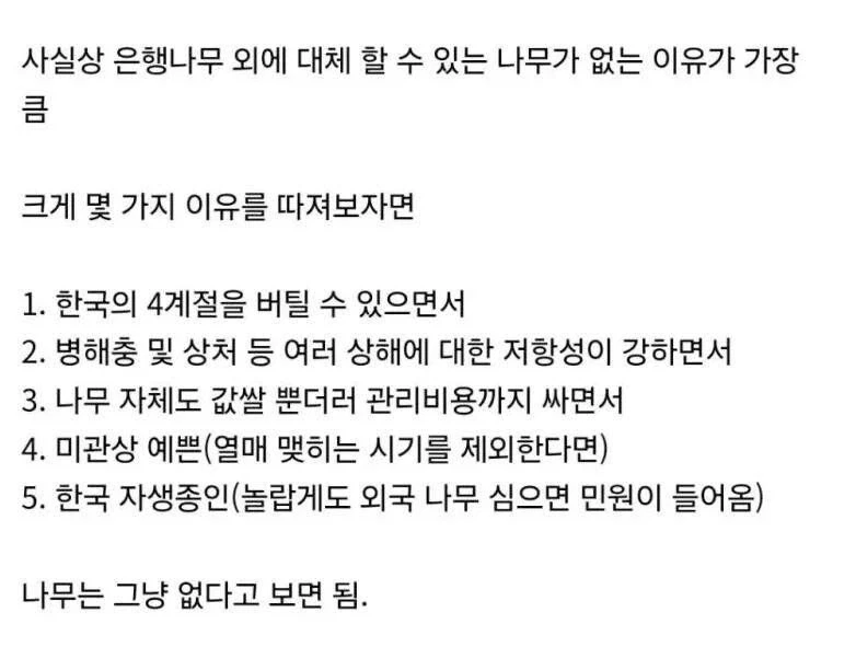은행나무가 가로수로 가장 좋은 이유_4.webp