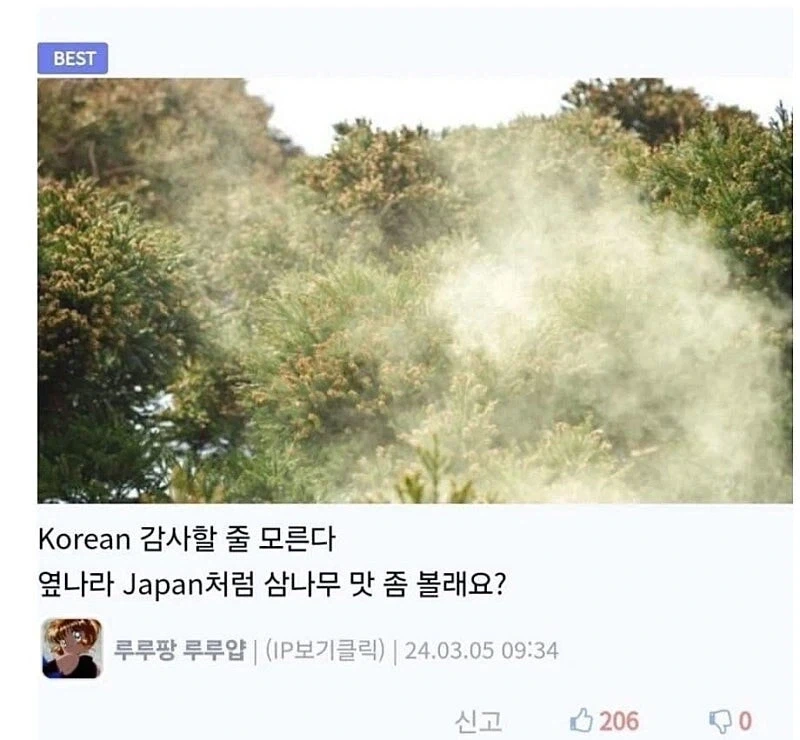 은행나무가 가로수로 가장 좋은 이유_8.webp
