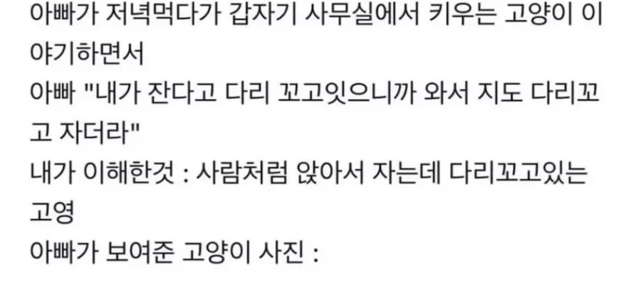 언제봐도 폭력적인 뿌빠야 대표 이미지