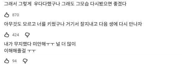 강아지가 목욕 후 미친 듯이 뛰는 이유.jpg_2.webp