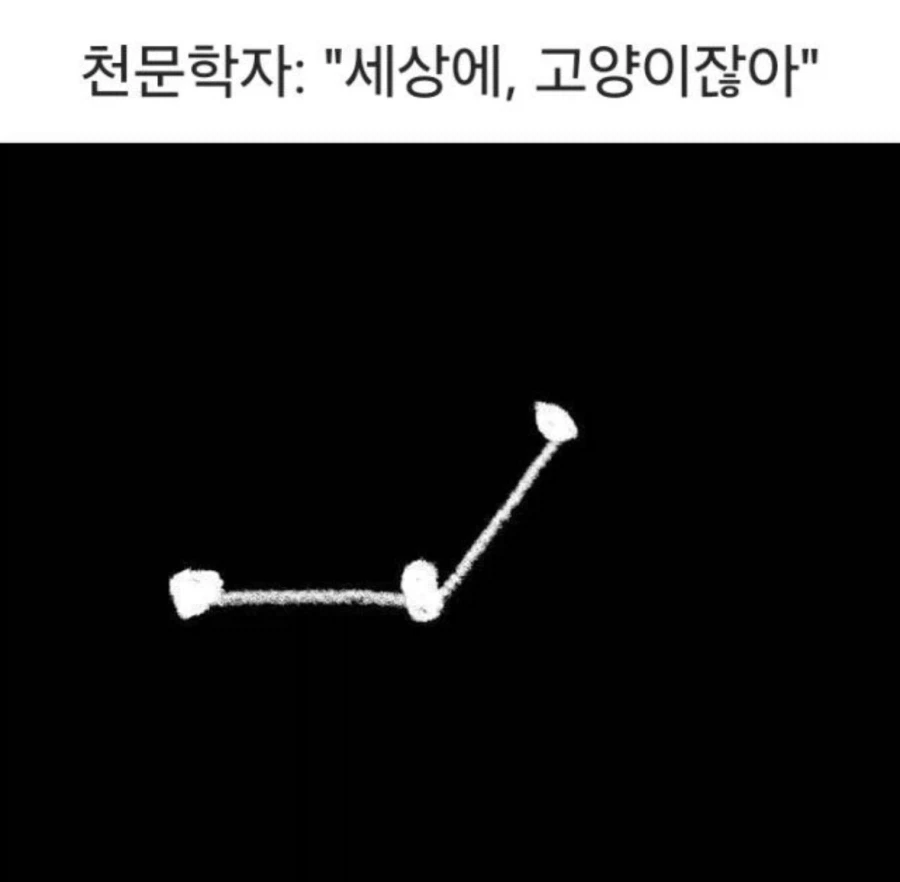 AI 때문에 위협받는다는 동네 약국.JPG 이미지 4