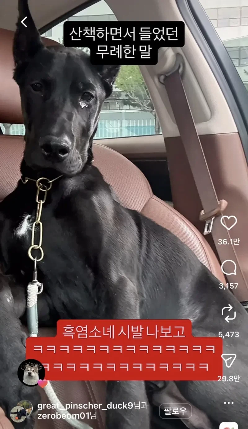 야구 외국인 선수 6명으로 늘릴 것을 검토중.jpg 이미지 2