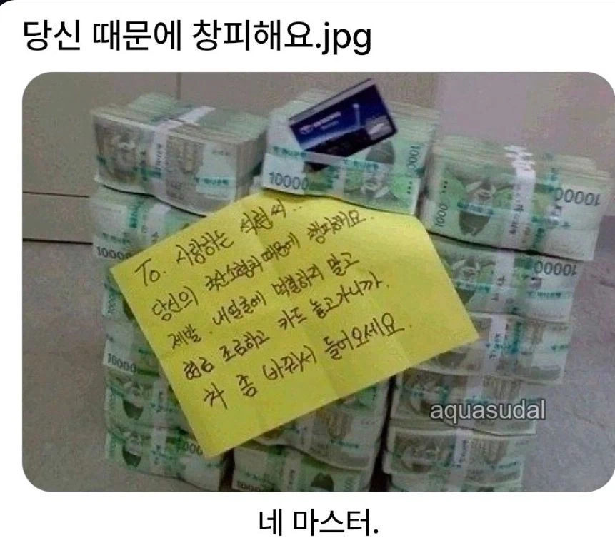 프리큐어 시리즈 감상 포인트 대표 이미지