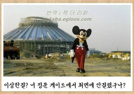 캐나다 벌과 미국 벌의 차이 이미지 4