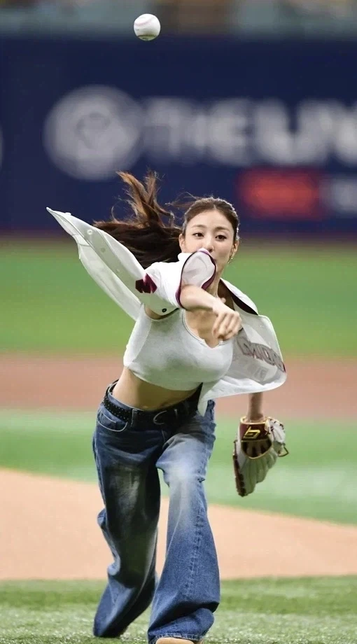 캐나다 벌과 미국 벌의 차이 대표 이미지