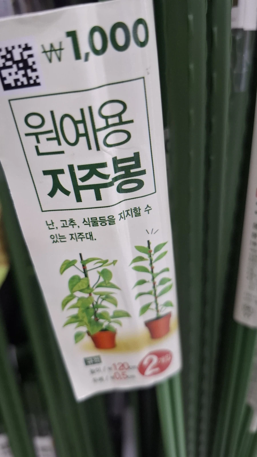 ??? : 이제 모두들 아시죠? 공포에 사라 이미지 4