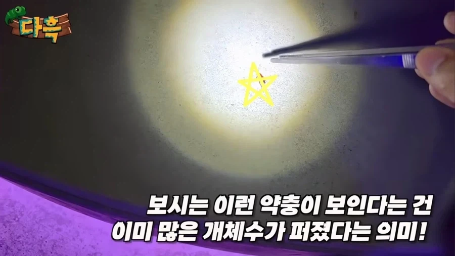 스핔이 괴롭히는 도로롱 대표 이미지