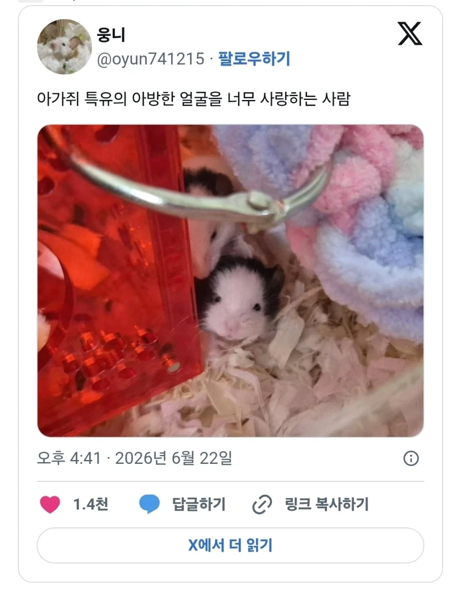 순수한 마음이 꺽이는 순간 대표 이미지
