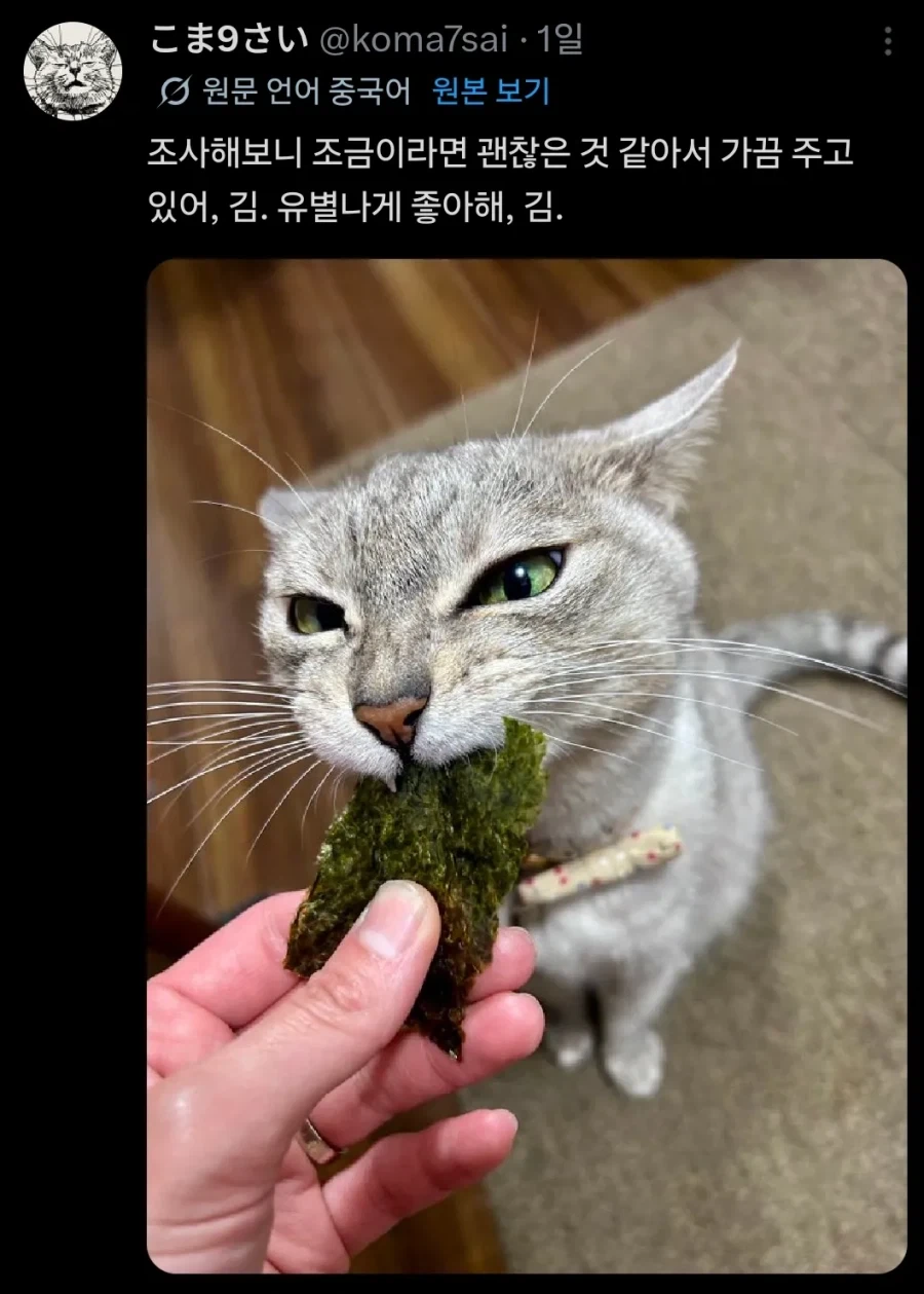 건강) 하루 5분 사자자세 호흡법 대표 이미지