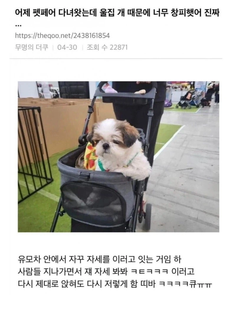 의외로 울부짖지 않는 것 이미지 5