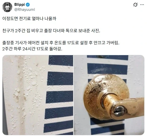 모래주머니를달고 움직이면 수련된다는케이스가 있잖아 이미지 2