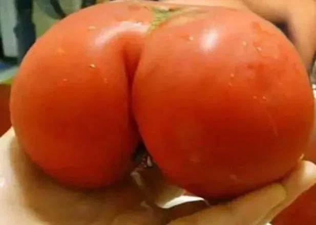 초전자포) 지방 조작 능력이 어마무시한 이유 이미지 3