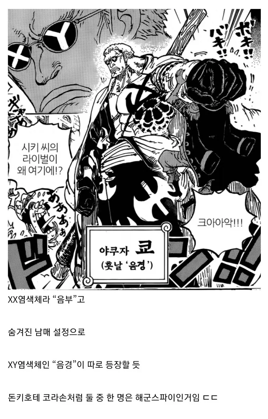 원피스) 은부의 안경 디자인이 특이한 이유 추측_2.webp