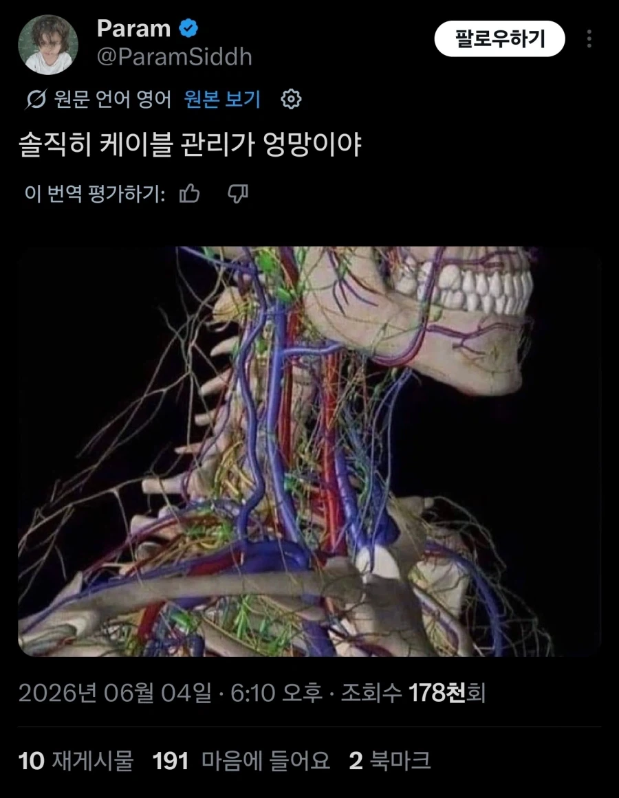 엄마한테 깔리는 푸바오 특 대표 이미지