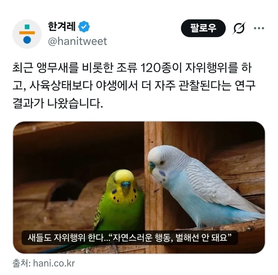 “넌 도대체 게임 왜 하니?“ 이미지 2