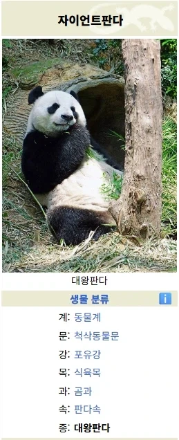 옛날 한때 판다에 대해서 잘못 알려졌던 사실_3.webp